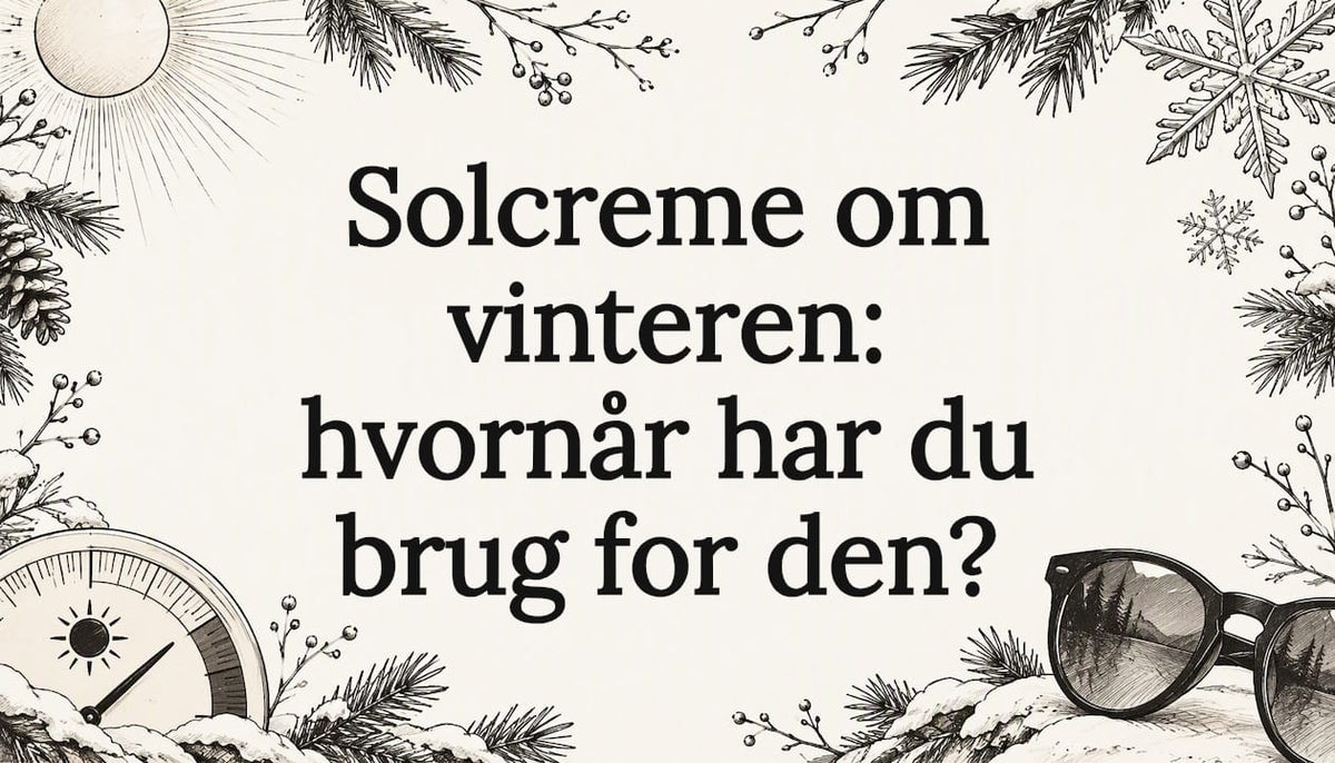 Titelbillede med vintersol og snefnug