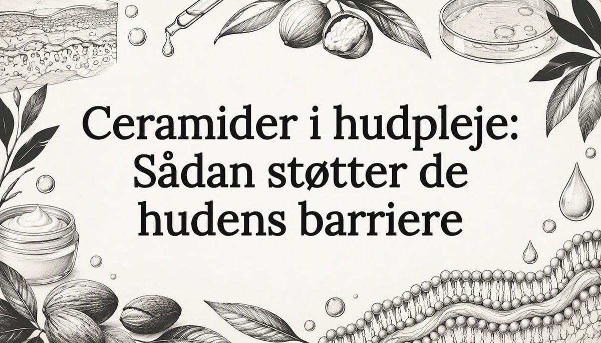 Titelgrafik med håndtegnede hudlag og lipidstrukturer
