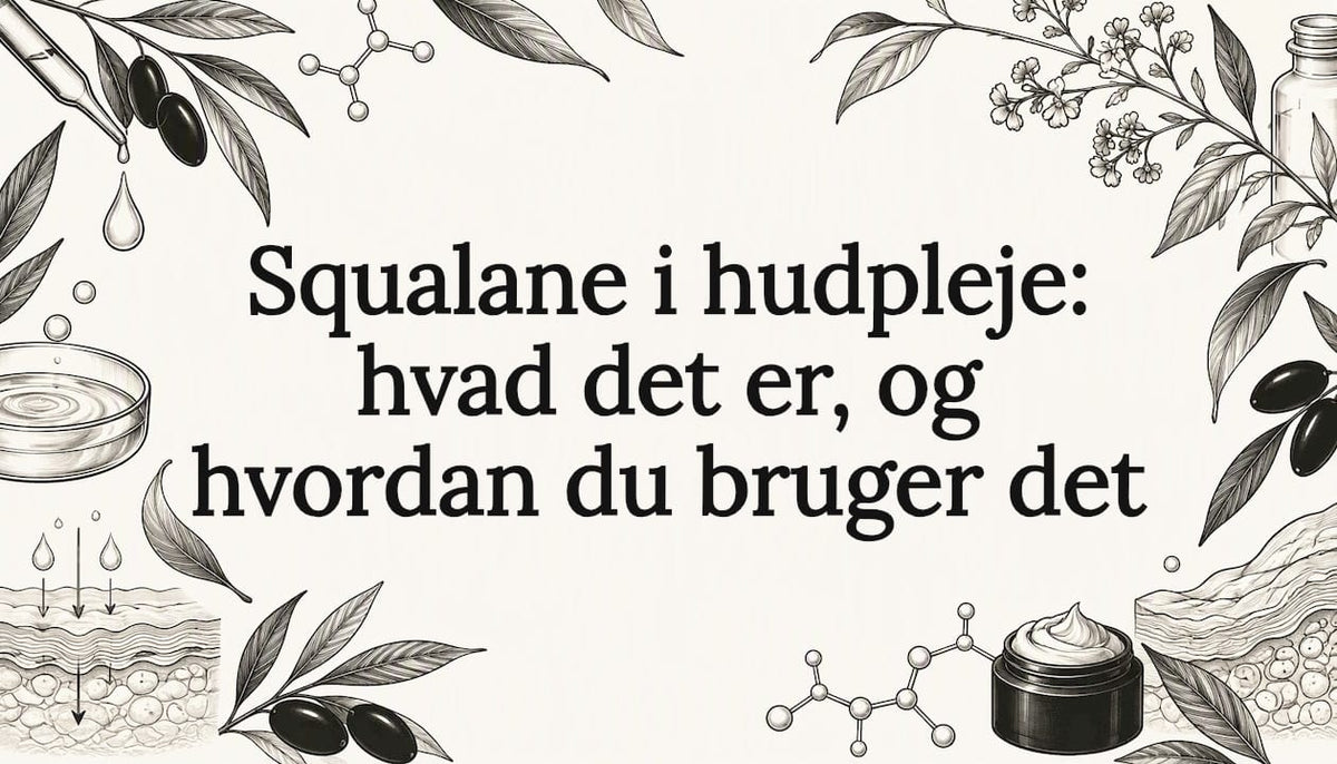 Titelgrafik med håndtegnede motiver af squalan