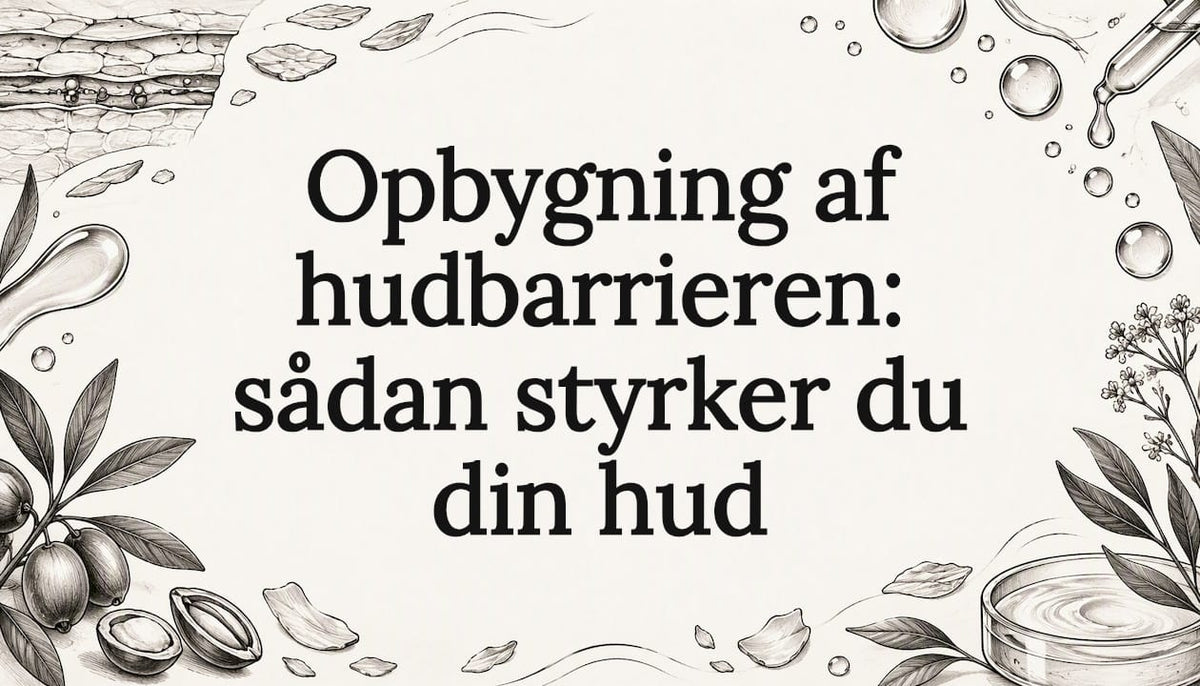 Håndtegnet titelillustration af hudbarrierens lag